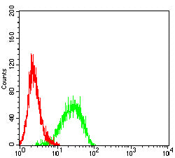 Figure 4:Flow cytometric analysis of B16 cells using PMEL mouse mAb (green) and negative control (red).