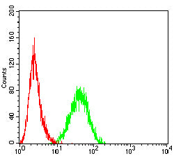 Figure 5:Flow cytometric analysis of HL-60 cells using ITGAM mouse mAb (green) and negative control (red).