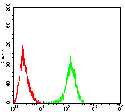 Figure 6:Flow cytometric analysis of Raji cells using HSP70 mouse mAb (green) and negative control (red).