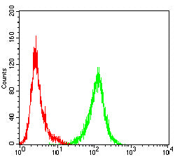 Figure 3:Flow cytometric analysis of Jurkat cells using IL1B mouse mAb (green) and negative control (red).