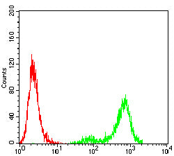 Figure 5:Flow cytometric analysis of K562 cells using CD200 mouse mAb (green) and negative control (red).