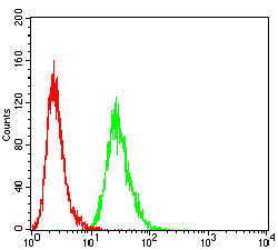 Figure 2:Flow cytometric analysis of Hela cells using ATP mouse mAb (green) and negative control (red).