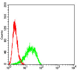 Figure 6:Flow cytometric analysis of Hela cells using KRT15 mouse mAb (green) and negative control (red).