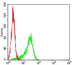 Figure 5:Flow cytometric analysis of Hela cells using KRT10 mouse mAb (green) and negative control (red).