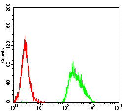 Figure 5:Flow cytometric analysis of MOLT4 cells using IL22 mouse mAb (green) and negative control (red).