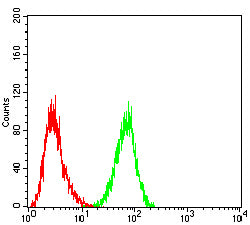 Figure 7:Flow cytometric analysis of HL-60 cells using VASP mouse mAb (green) and negative control (red).