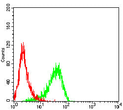 Figure 4:Flow cytometric analysis of Jurkat cells using CD62P mouse mAb (green) and negative control (red).