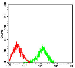 Figure 6:Flow cytometric analysis of Lovo cells using IGF1R mouse mAb (green) and negative control (red).