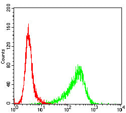 Figure 9:Flow cytometric analysis of K562 cells using RHOA mouse mAb (green) and negative control (red).