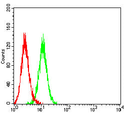 Figure 4:Flow cytometric analysis of THP-1 cells using CD121B mouse mAb (green) and negative control (red).