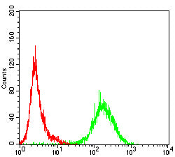 Figure 4:Flow cytometric analysis of Jurkat cells using CX3CR1 mouse mAb (green) and negative control (red).