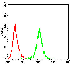 Figure 5:Flow cytometric analysis of bel-7402 cells using MERTK mouse mAb (green) and negative control (red).