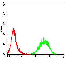 Figure 3:Flow cytometric analysis of Jurkat cells using TLR10 mouse mAb (green) and negative control (red).