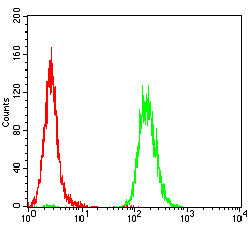 Figure 4:Flow cytometric analysis of Hela cells using GPR83 mouse mAb (green) and negative control (red).