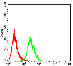 Figure 5:Flow cytometric analysis of Hela cells using CD338 mouse mAb (green) and negative control (red).