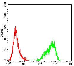 Figure 4:Flow cytometric analysis of Jurkat cells using CD62E mouse mAb (green) and negative control (red).