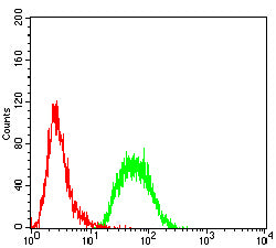 Figure 5:Flow cytometric analysis of THP-1 cells using CD205 mouse mAb (green) and negative control (red).