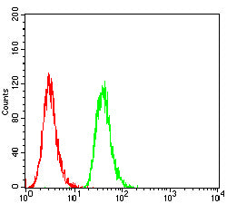 Figure 3:Flow cytometric analysis of A431 cells using TDP43 mouse mAb (green) and negative control (red).