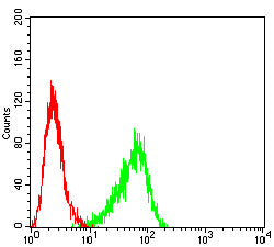 Figure 6:Flow cytometric analysis of A431 cells using KRT10 mouse mAb (green) and negative control (red).
