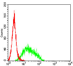 Figure 5:Flow cytometric analysis of THP-1 cells using CD105 mouse mAb (green) and negative control (red).