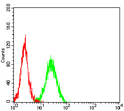 Figure 4:Flow cytometric analysis of Jurkat cells using ITGB5 mouse mAb (green) and negative control (red).