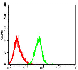 Figure 7:Flow cytometric analysis of Raji cells using MSH2 mouse mAb (green) and negative control (red).