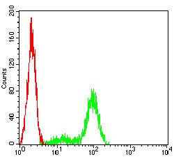 Figure 6:Flow cytometric analysis of Hela cells using ATP1A1 mouse mAb (green) and negative control (red).