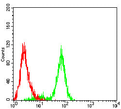 Figure 5:Flow cytometric analysis of Jurkat cells using M6PR mouse mAb (green) and negative control (red).