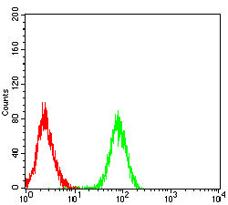 Figure 7:Flow cytometric analysis of Raji cells using CDK4 mouse mAb (green) and negative control (red).