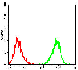 Figure 5:Flow cytometric analysis of Raji cells using TNFSF9 mouse mAb (green) and negative control (red).