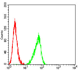 Figure 5:Flow cytometric analysis of MOLT4 cells using TSPAN33 mouse mAb (green) and negative control (red).