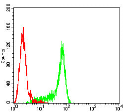 Figure 5:Flow cytometric analysis of Hela cells using NUP98 mouse mAb (green) and negative control (red).