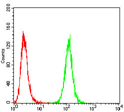 Figure 4:Flow cytometric analysis of Hela cells using PTH mouse mAb (green) and negative control (red).