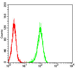 Figure 5:Flow cytometric analysis of THP-1 cells using CD147 mouse mAb (green) and negative control (red).