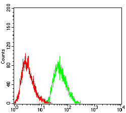 Figure 6:Flow cytometric analysis of HePG2 cells using CD338 mouse mAb (green) and negative control (red).