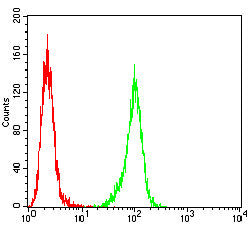 Figure 5:Flow cytometric analysis of Hela cells using P4HB mouse mAb (green) and negative control (red).