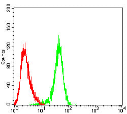 Figure 5:Flow cytometric analysis of Jurkat cells using PDLIM7 mouse mAb (green) and negative control (red).