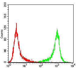 Figure 4:Flow cytometric analysis of Jurkat cells using TRIB2 mouse mAb (green) and negative control (red).