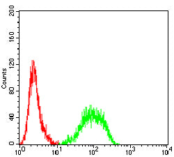 Figure 4:Flow cytometric analysis of Jurkat cells using TLR7 mouse mAb (green) and negative control (red).