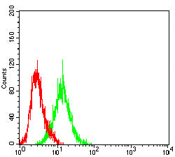 Figure 5:Flow cytometric analysis of Jurkat cells using TIMD4 mouse mAb (green) and negative control (red).