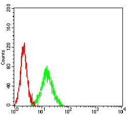 Figure 4:Flow cytometric analysis of MOLT4 cells using CD42A mouse mAb (green) and negative control (red).