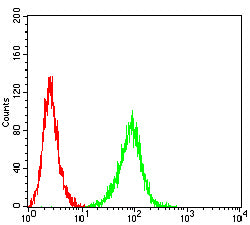 Figure 6:Flow cytometric analysis of K562 cells using CD273 mouse mAb (green) and negative control (red).