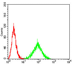 Figure 4:Flow cytometric analysis of HL-60 cells using CD85K mouse mAb (green) and negative control (red).