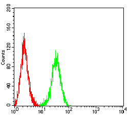 Figure 4:Flow cytometric analysis of C6 cells using GPR19 mouse mAb (green) and negative control (red).