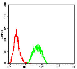 Figure 5:Flow cytometric analysis of THP-1 cells using IL1B mouse mAb (green) and negative control (red).