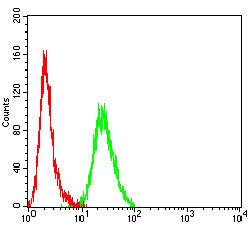 Figure 4:Flow cytometric analysis of K562 cells using KIT mouse mAb (green) and negative control (red).