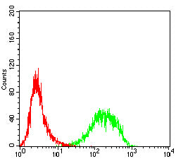 Figure 5:Flow cytometric analysis of HL-60 cells using VCP mouse mAb (green) and negative control (red).