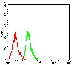 Figure 5:Flow cytometric analysis of MOLT4 cells using C5AR2 mouse mAb (green) and negative control (red).