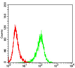 Figure 6:Flow cytometric analysis of Jurkat cells using NDC80 mouse mAb (green) and negative control (red).