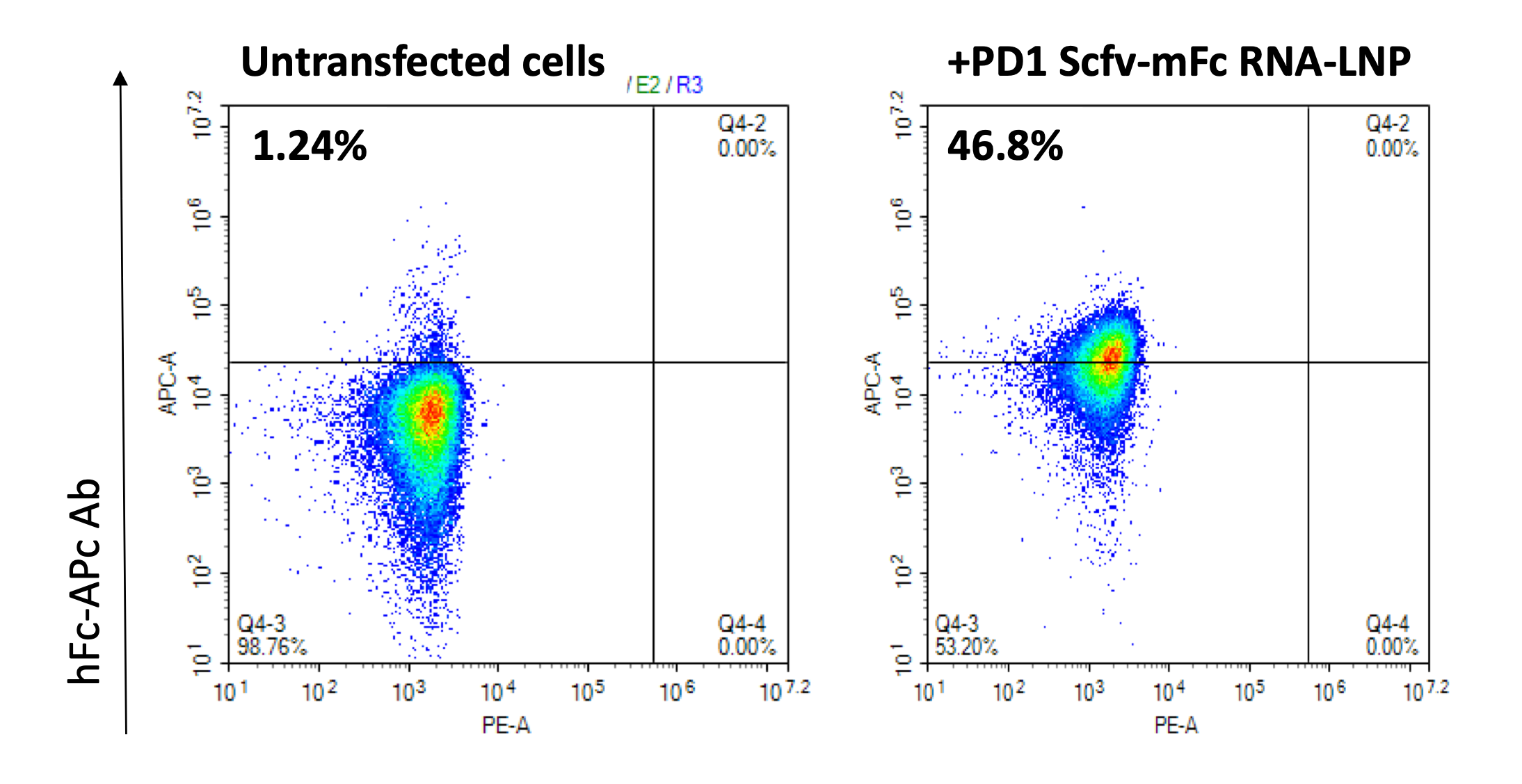 L-myc-1 proto-oncogene protein is a protein that in humans is encoded by the MYCL1 gene. MYCL1 is a bHLH (basic helix-loop-helix) transcription factor implicated in lung cancer. 